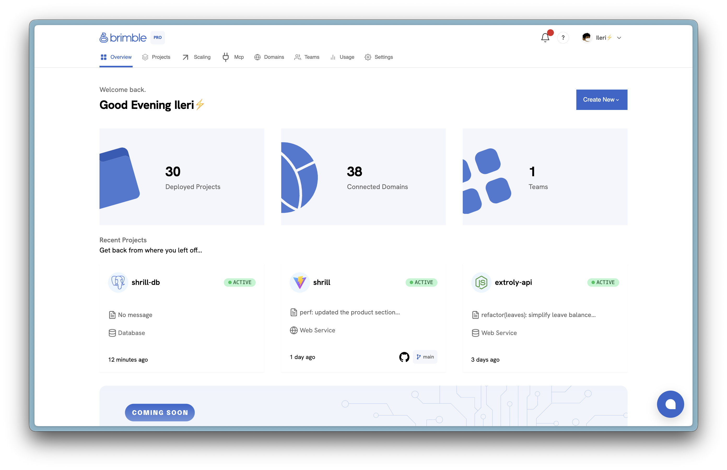 brimble dashboard overview image